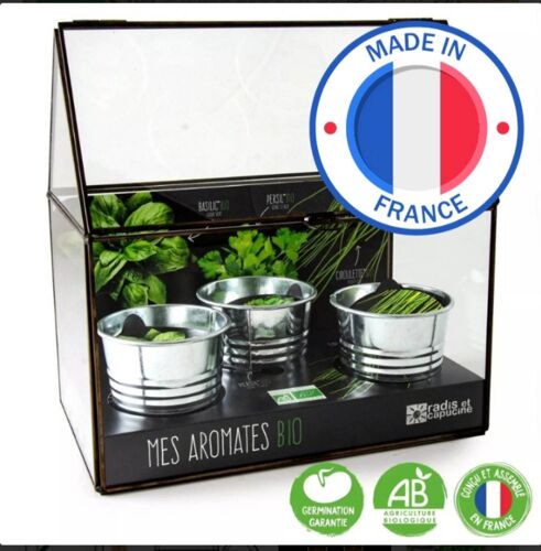 Serre Châssis Zinc Noir Et Verre Plantes Aromatiques Bio