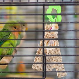 Hjlian Jouet Pour Perroquet, Jouet A Macher Pour Oiseaux, Jouet Suspendu, Coquillage, Jouet Pour Perroquet