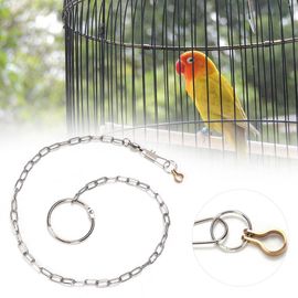 Hjlian Harnais De Dressage En Acier Inoxydable Pour Perroquets Et Oiseaux (Aratinga Solstitialis)