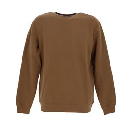 Sweat Teddy Smith S-Nark Rc Marron S