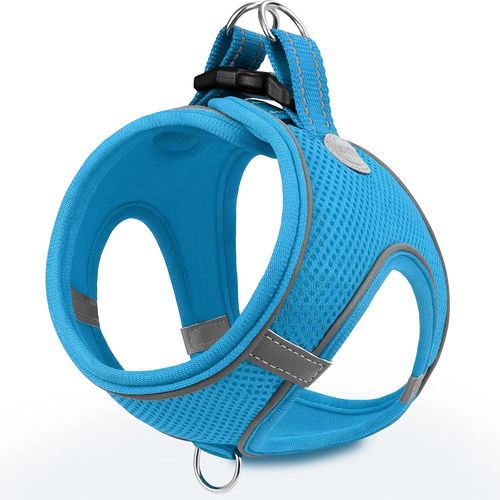Jgd-Harnais Chien, Réfléchissant Respirante Gilet Harnais Pour Petit Chiens, S, Bleu