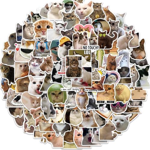 Tianyi-100pcs Expression De Chat Autocollants Pour Bouteilles D'eau Gobelet Bagages Planche À Roulettes Pare-Chocs Scrapbook Tasse, Autocollant Cadeau Pour Enfants Adolescents Adultes