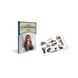 Le Livre Extraordinaire Des Chats - Avec 1 Planches De Stickers