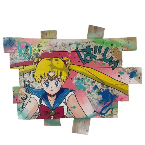 Tableau Pop Art Sailor Moon