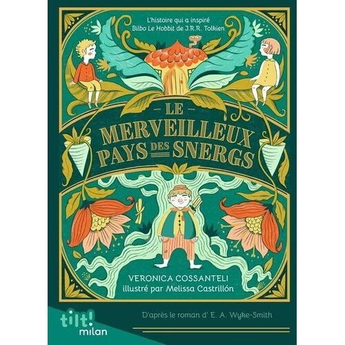 Le Merveilleux Pays Des Snergs