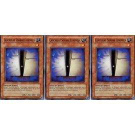 3x  Cancrelat Sombre Lumineux  -  Anpr-Fr024