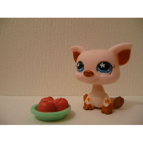 Petshop Cochon N° 732