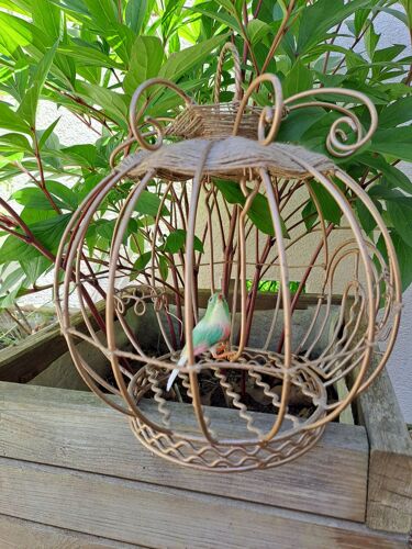 Cage et son oiseau solitaire recherchent un nouveau propriétaire