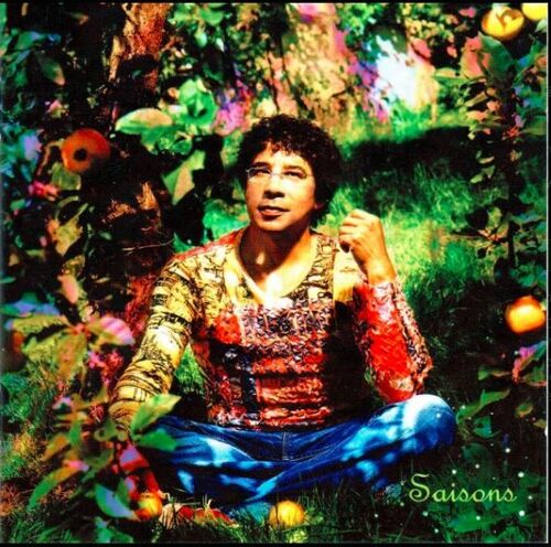 Cd Album : Laurent Voulzy – Saisons