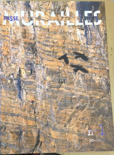 Mélancolie - Génie Et Folie En Occident - Revue Connaissance Des Arts N°261