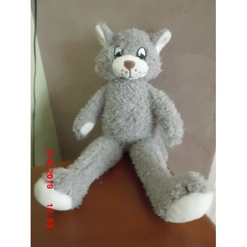 Chat Gris Et Blanc Tcm