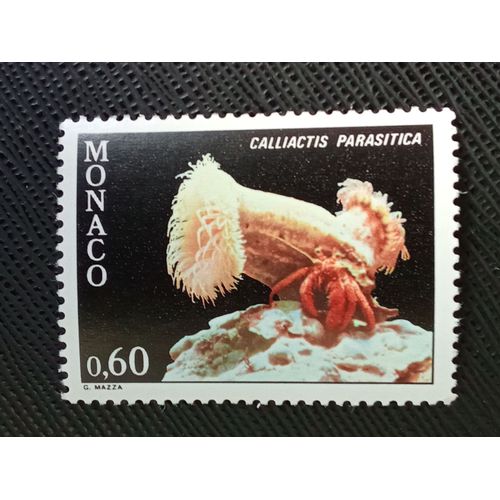 Timbre Monaco Y T 1260 Anémone Parasite (Calliactis Parasitica) 1980 (040709 )