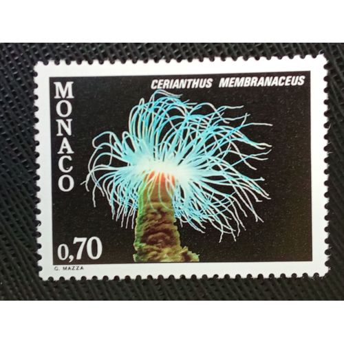 Timbre Monaco Y T 1261 Anémone Cylindrique (Cerianthus Membranaceus) 1980 (040709 )