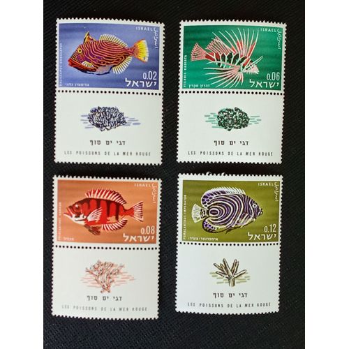 Timbre Israel Y T 242 T A 245 T Série : Poissons De La Mer Rouge 1963 (050709 )