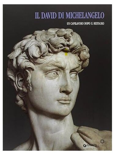 Il David Di Michelangelo. Un Capolavoro Dopo Il Restauro