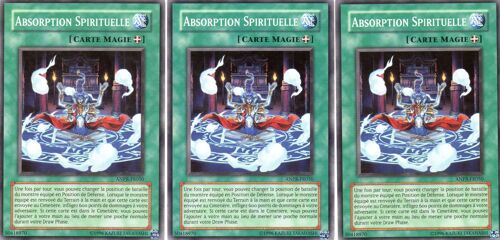 Absorption Spirituelle  X3  -  Anpr-Fr050