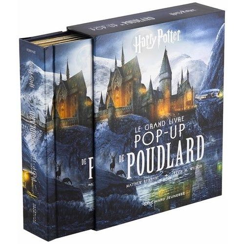 Le Grand Livre Pop-Up De Poudlard