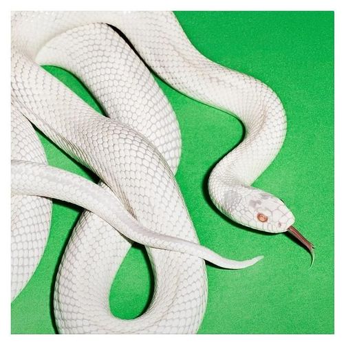 Private Music - Vinyle