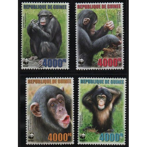Guinée Timbres Animaux : Les Chimpanzés 2006