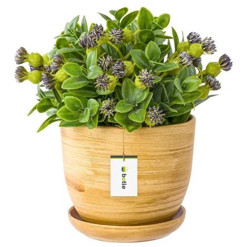Cache-Pot En Céramique Pot De Fleur Peint À La Main D 130 Mm En Céramique Marron Clair Avec Soucoupe Trou De Drainage De L'eau