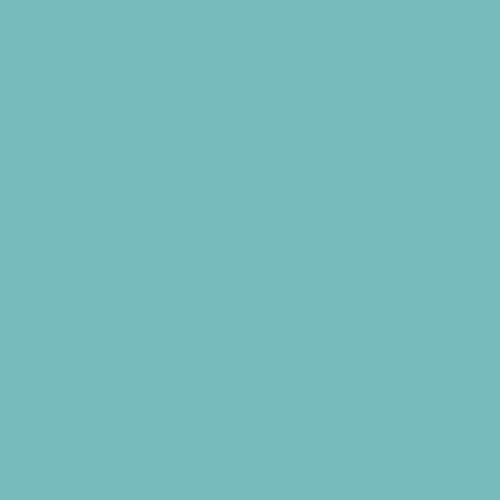 Peinture salle de bain mur plafond condensation Vert clair - RAL 6027 10 L