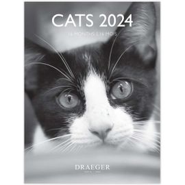 Petit Calendrier Mural Chats Noir Et Blanc 2024 À Suspendre 14x18cm | 16 Mois Sept 23 À Dec 24 | 7 Langues | Calendrier Bureau, Cuisine, Maison Mensuel