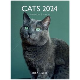 Petit Calendrier Mural Cats 2024 À Suspendre 14x18cm | 16 Mois Sept 23 À Dec 24 | 7 Langues | Calendrier Bureau, Cuisine, Maison Mensuel | Encres Végétales