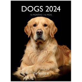 Petit Calendrier Mural Chiens 2024 À Suspendre 14x18cm | 16 Mois Sept 23 À Dec 24 | 7 Langues | Calendrier Bureau, Cuisine, Maison Mensuel | Encres Végétales