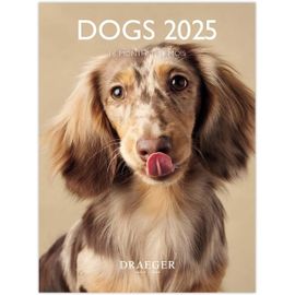 Calendrier Mural Compact 2025 Avec 12 Photos Thème Chiens - 14x18 Cm - Sept 2024 À Déc 2025-7 Langues - Haute Qualité - Design Élégant - Organisation Quotidienne