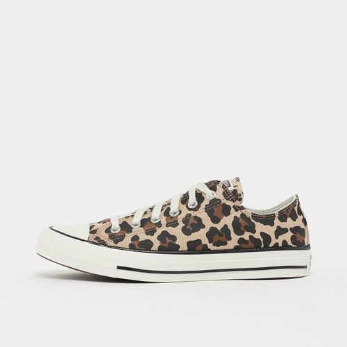 Chaussures Converse Chuck Taylor All Star Unisex Beige