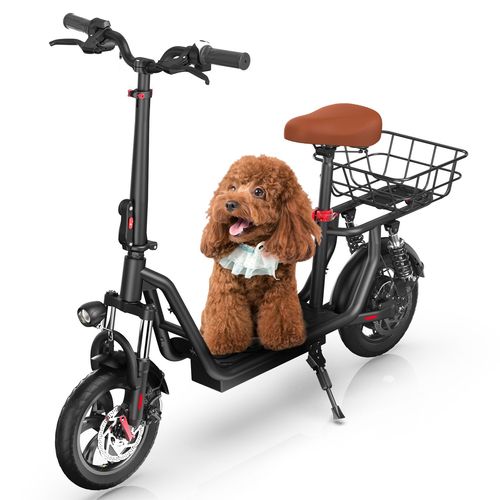 Trottinette Électrique Iscooter I12 Avec Siège 500w Autonomie 30-35km 36v7.5ah 12" Deux Amortisseurs À L'Avant Et À L'Arrière