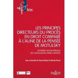 Les Principes Directeurs Du Procès Civil En Droit Comparé À L'aune De La Pensée De Motulsky - Journées Multilatérales De L'association Henri Capitant