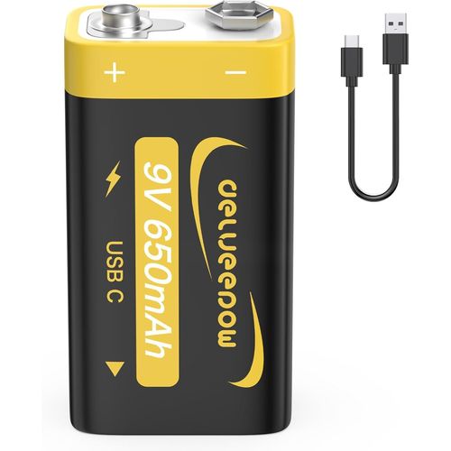 Piles 9v Rechargeable 650mAh, Pile 9V Lithium Rechargeable USB C 1PCS pour Détecteur de Fumée