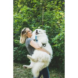 Les Croquettes D'Occitanie, Croquettes Sans Céréales En 12kg Pour Chien Adulte Peau Et Pelage Au Saumon Frais. Nos Formules Sans Céréales Favorisent La Digestion Et Contribuent À Une Bonne Forme.