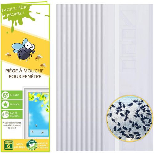 KALANKA-Piège à Mouche pour Fenêtre 40 Pièces, Anti Mouche, Attrape Mouche Transparent, Non Toxique et inodore pour Attraper Les Mouches et Les Mouches des Fruits