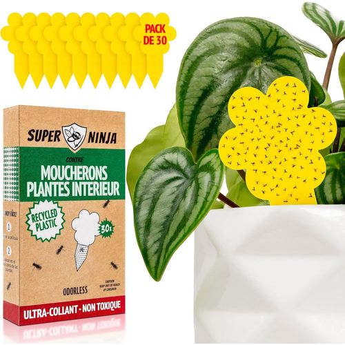 KALANKA-Piège à Moucherons de Terreau, Lot de 30, Anti Moucherons Pantes Interieur Ultra Efficace, Piège Jaune Collant Plante, Attrape Mouches Non Toxique, Éco, Jusqu`à 3 Mois