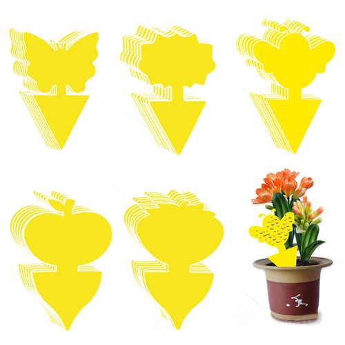 ASFASFq-RYAN 100 Pièces Anti Moucherons IntéRieur,Inséré Jaune Piège à Insectes Double Face,Anti Moucherons Plantes Intérieur Adapté Aux Plantes de Jardin Fleurs Et Fruits en Pot (5 Styles)