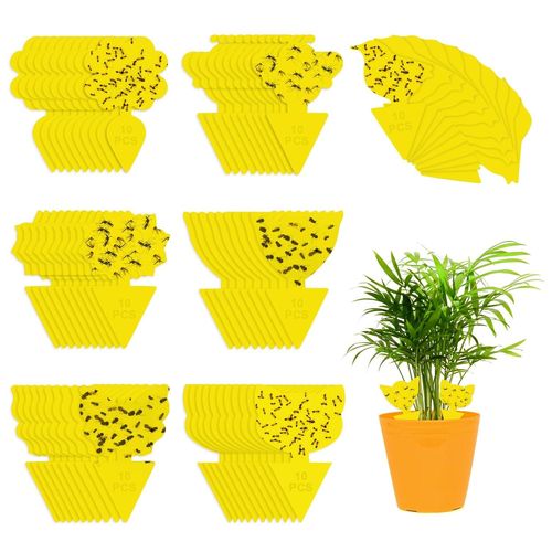 ASFASFq-VFANDV Pièges à Insectes, Anti Moucherons Interieur Attrape Moucheron Plantes Autocollants Colle Double-Face Étanche Jaunes Pièges Engluées pour Cuisine Jardin (70)