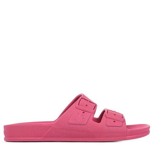 Cacatoès Rio De Janeiro