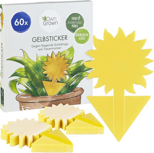 Fly Trap for Indoor Plants ¿ Pack of 60 Self-Adhesive Paper Fly Trap ¿ Sunflower Fruit Fly Catcher Ideal for Indoor Use ¿ 13.5 x 7.5 cm