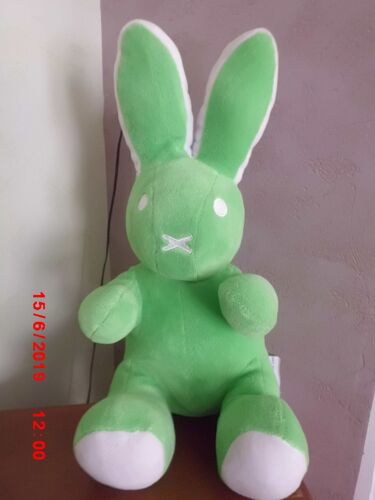 Lapin Vert Et Blanc Fun Toys