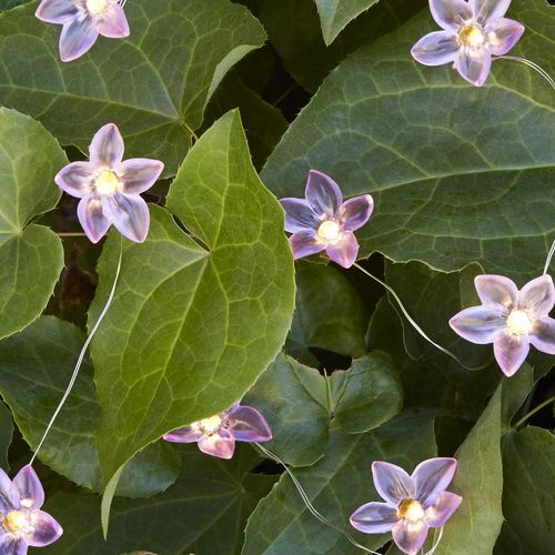 Kal-Guirlande Lumineuse 20 Fleurs À Micro Led Blanc Chaud