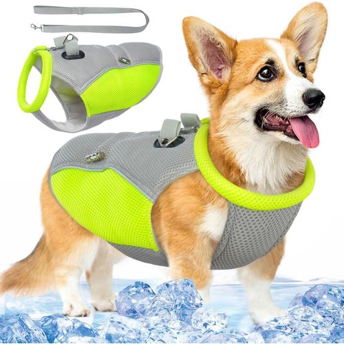 Kalanka-Gilet Rafraichissant Pour Chien, Manteau Rafraichissant Pour Chien, Gilet Rafraichissant Chien Avec Laisse, Veste Rafraichissante Chien Pour Chiens De Petite Et Moyenne Taille - Gris M