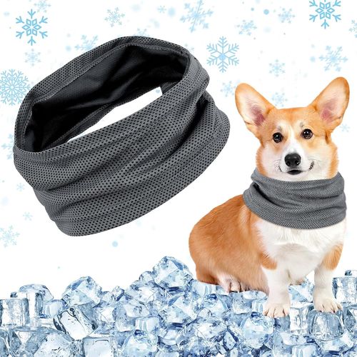 Bandana De Refroidissement Pour Chien, Collier Rafraichissant, Foulard Chien Rafraîchissant, Pour Refroidissante En Été