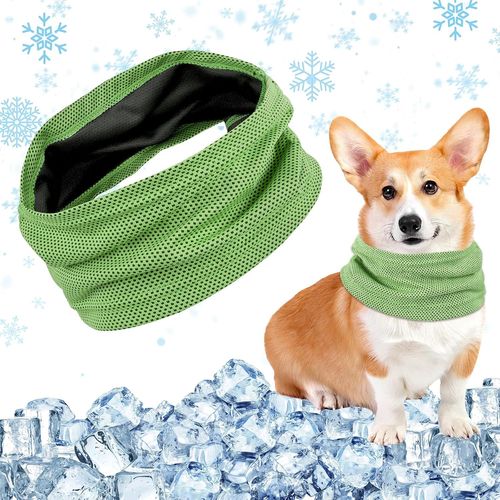 Bandana De Refroidissement Pour Chien, Collier Rafraichissant, Foulard Chien Rafraîchissant, Pour Refroidissante En Été