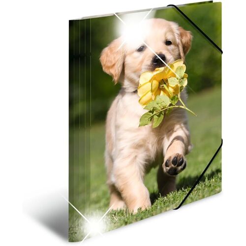 Classeur Din A4 En Plastique Solide Avec Effet Brillant Et Rabats Int¿¿Rieurs Imprim¿¿S Motif Animaux
