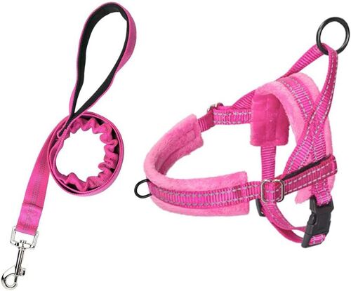 Ensemble Harnais Et Laisse Pour Petit Chien, À Ajustement Rapide, Gilet Rembourré Avec Sécurité Et Bungee Ajustable