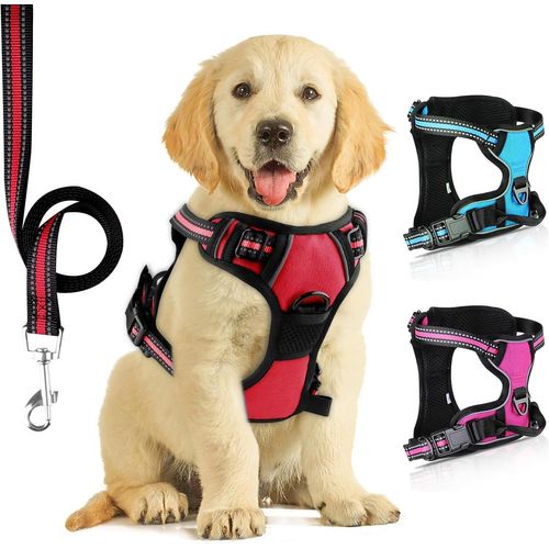 Jgd-Harnais Pour Chien Sans Traction Avec Laisse,Parfaitement Respirant Ajustable Harnais Avant Réfléchissant,Idéal Pour Les Petits Chiens De Taille Moyenne, Entraînement En Plein Air (Rouge Foncé, M