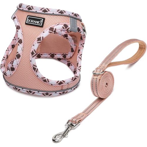 Jgd-Harnais Chien, Step-In Harnais Pour Chiens Avec Laisse, Réfléchissant Respirant Mesh Doux Confort Réglable Gilet Harnais Pour Petite Chiens Chats Pour Marcher Courir (Champagne, Xs)