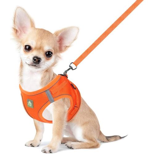 Jgd-Harnais Petit Chien Chat Harnais Veste En Mesh Doux Réfléchissant Réglable Ensemble Gilet De Chiot Et Laisse Pour Chiens De Taille Petits Et Moyens